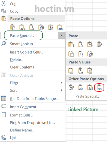 Cách Dán Dữ Liệu Thành Linked Picture Trong Excel