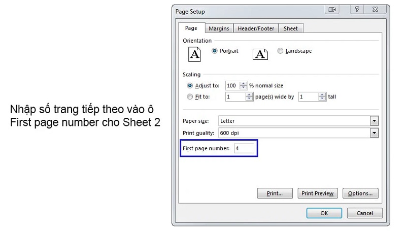 nhập số trang mà bạn muốn bắt đầu cho sheet này