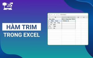 hàm TRIM trong Excel