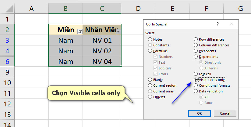 chọn Visible cells only