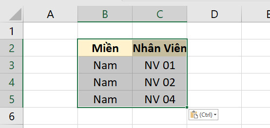 kết quả dán dữ liệu 