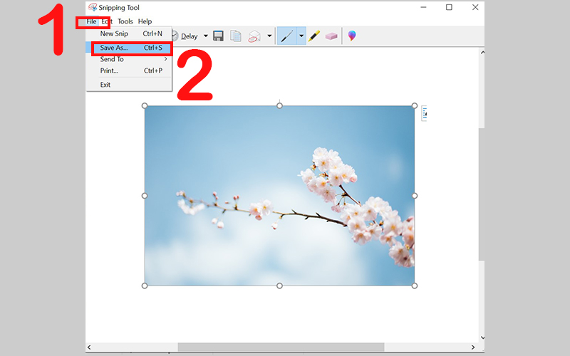 nhấn Ctrl + S hoặc chọn File > Sava As để lưu ảnh