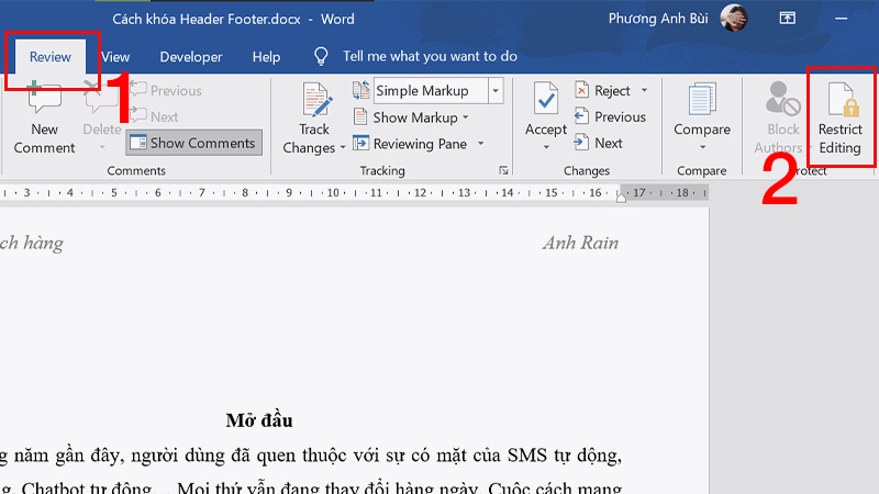 vào tab Review và nhấp chọn Restrict Editing