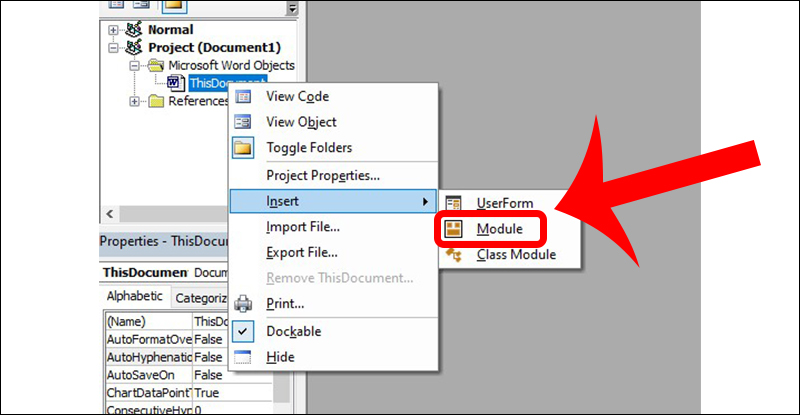 chọn Insert, sau đó chọn Module