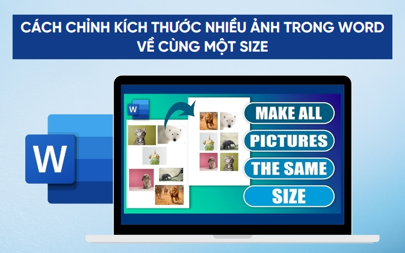 cách chỉnh kích thước nhiều ảnh trong Word