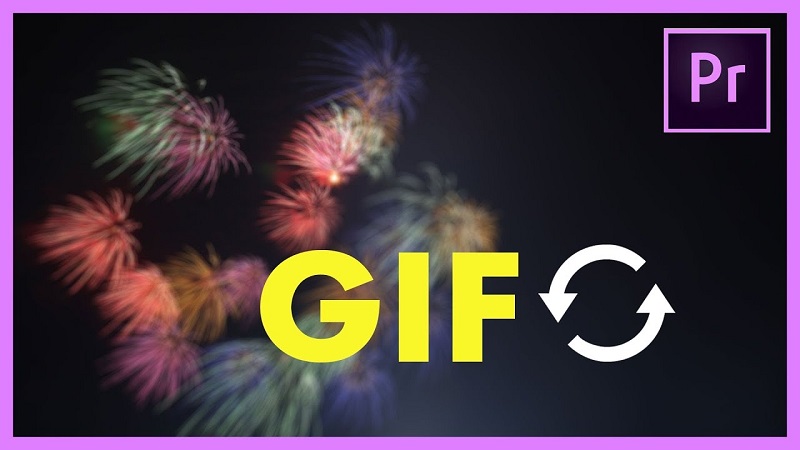 Premiere có xuất GIF cho mạng xã hội không