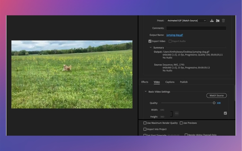 xuất video dưới định dạng GIF