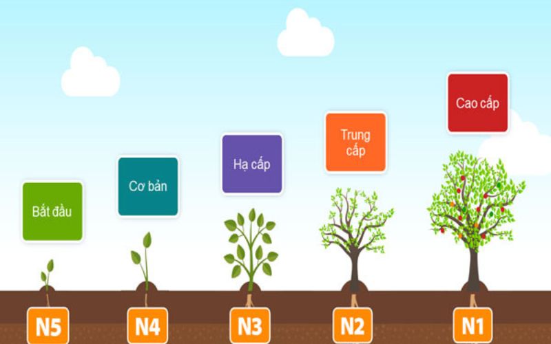 Môi trường lý tưởng