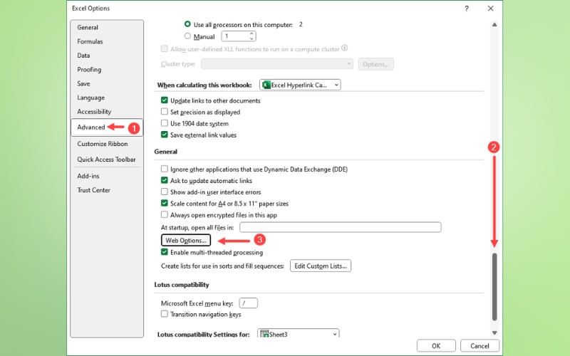 chọn mục Advanced và nhấn vào Web Options