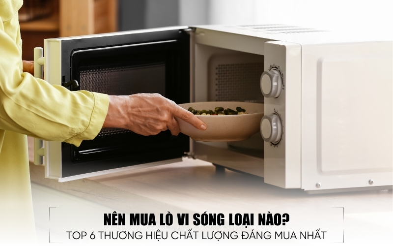 nên mua lò vi sóng loại nà