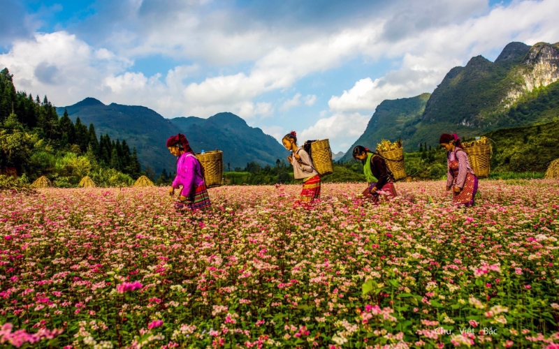 Hà Giang